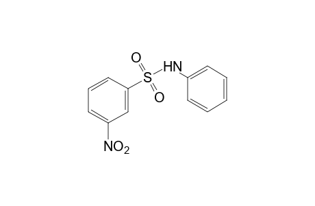 3-nitrobenzenesulfonanilide