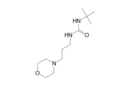 1-tert-Butyl-3-(3-morpholinopropyl)-urea