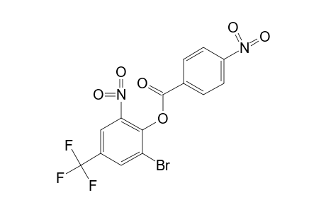 2-BROMO-6-NITRO-alpha,alpha,alpha-TRIFLUORO-p-CRESOL, p-NITROBENZOATE
