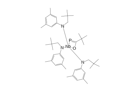 [T-BU-C(O)-P]-NB-[N-[NP]-AR]3