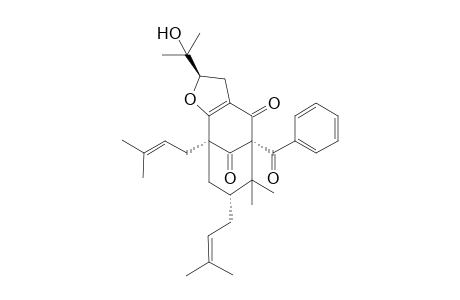 GARCINIELLIPTONE-I