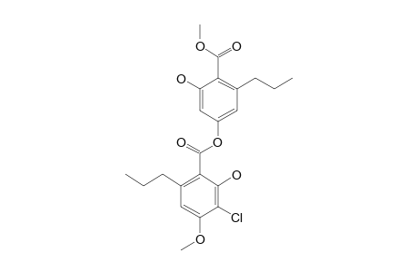 METHYL-3-CHLORO-DIVARICATE