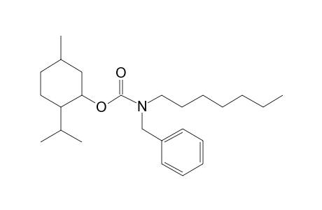 Carbonic acid, monoamide, N-benzyl-N-heptyl-, menthyl ester