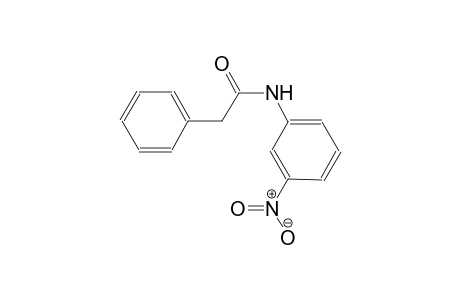 PHENYLACETO-META-NITROANILIDE