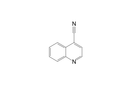 4-Cyanoquinoline