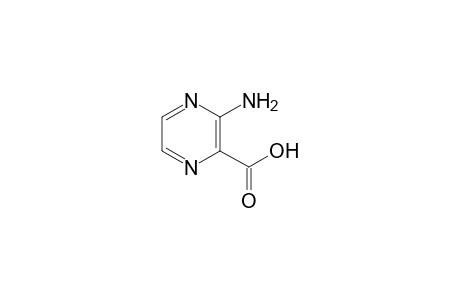 3-Amino-pyrazine-2-carboxylic acid