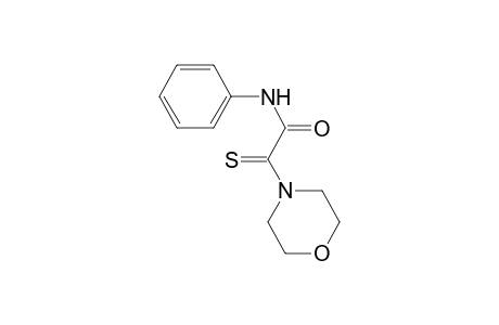 2-(4-Morpholinyl)-N-phenyl-2-thioxoacetamide