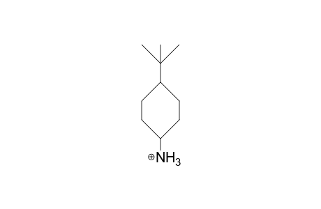 trans-4-tert-Butyl-cyclohexylamine cation