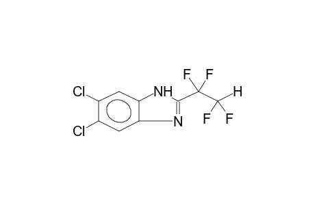 5,6-DICHLORO-2-(1,1,2,2-TETRAFLUOROETHYL)BENZIMIDAZOLE