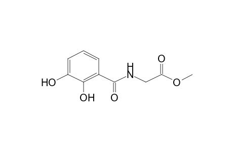 (2,3-Dihydroxybenzoylamino)acetic acid, methyl ester