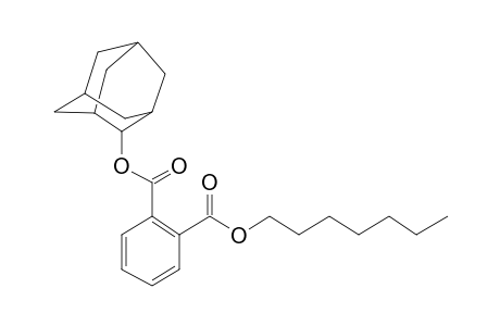 Phthalic acid, 2-adamantyl heptyl ester