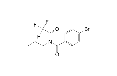 4-Bromo-N-propylbenzamide, N-trifluoroacetyl-