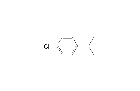 1-tert-Butyl-4-chloro-benzene