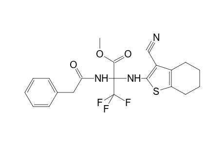 Methyl 2-[(3-cyano-4,5,6,7-tetrahydro-1-benzothiophen-2-yl)amino]-3,3,3-trifluoro-2-(2-phenylacetamido)propanoate