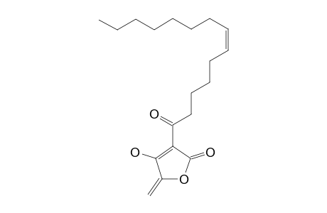 AGGLOMERIN-D