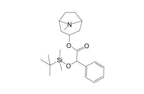 dl-Homatropine, tert-butyldimethylsilyl ether