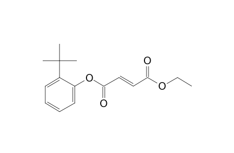 Fumaric acid, ethyl 2-tert-butylphenyl ester