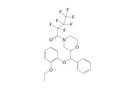 Reboxetine HFB