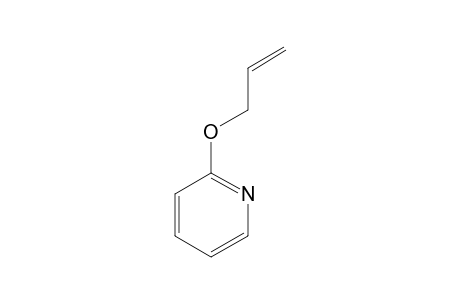 2-Allyloxypyridine