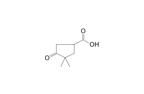 3,3-Dimethyl-4-oxocyclopentanecarboxylic acid