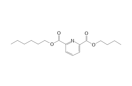 2,6-Pyridinedicarboxylic acid, butyl hexyl ester