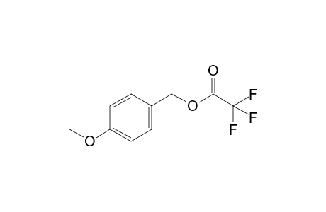 Trifluoroacetic acid, 4-methoxybenzyl ester