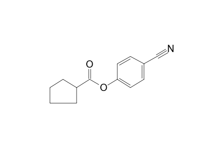 Cyclopentanecarboxylic acid, 4-cyanophenyl ester