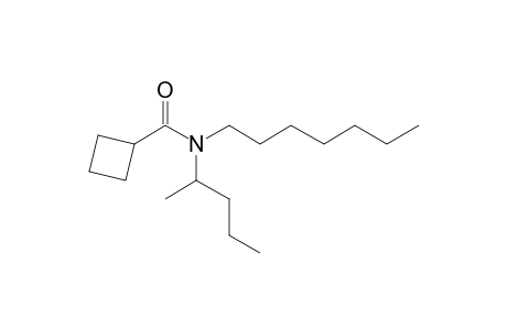 Cyclobutanecarboxamide, N-(2-pentyl)-N-heptyl-