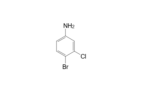 4-Bromo-3-chloroaniline
