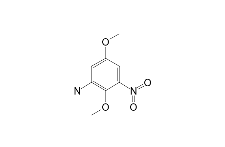 (2,5-dimethoxy-3-nitro-phenyl)amine