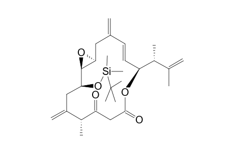 (5R,8S,9S,10S,13E,15S)-8-(tert-Butyldimethylsilanyloxy)-[(1R)-1,2-dimethylallyl]-9,10-epoxy-5-methyl-6,12-dimethylene-4-oxacyclopentadec-13-ene-2,4-dione