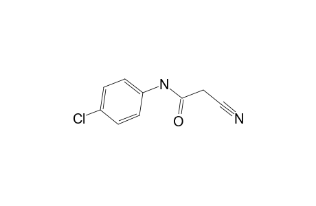 4'-Chloro-2-cyanoacetanilide