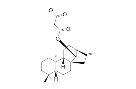 (14R)-ENT-KAUR-16-EN-14-YL HYDROGEN MALONATE