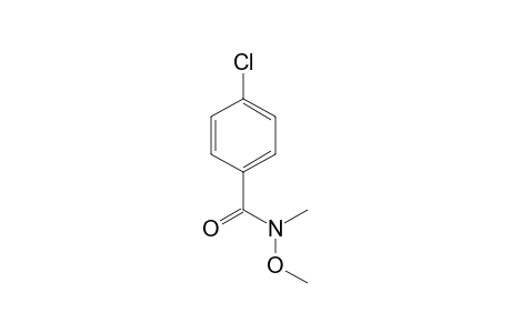 4-Chloranyl-N-methoxy-N-methyl-benzamide