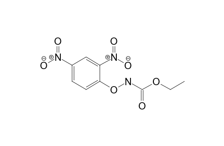Ethyl (2,4-dinitrophenoxy)carbamate