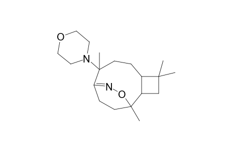 1,4,4,8-Tetramethyl-8-(morpholin-4'-yl)-11-oxa-10-azatricyclo[7.2.2.0(2,5)]tridec-9-ene