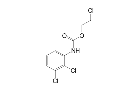 2,3-dichlorocarbanilic acid, 2-chloroethyl ester
