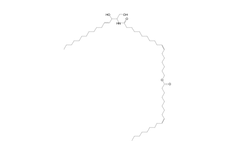 Cer 16:1;2O/18:1;O(FA 18:1)