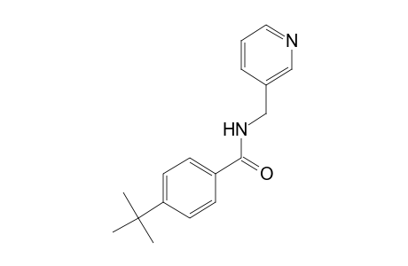 p-tert-butyl-N-[(3-pyridyl)methyl]benzamide