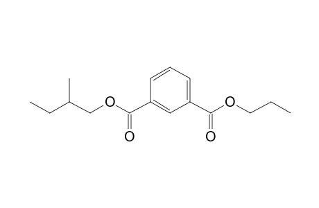 Isophthalic acid, 2-methylbutyl propyl ester