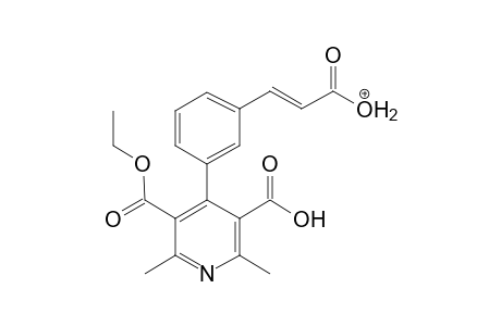 Lacidipine-M (dehydro-O-deethyl-) MS3_1