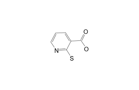 2-sulfanylidene-1H-pyridine-3-carboxylic acid