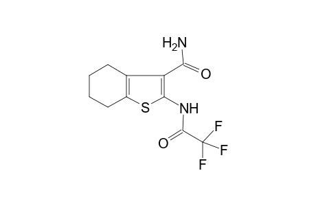 2-(2,2,2-Trifluoro-acetylamino)-4,5,6,7-tetrahydro-benzo[b]thiophene-3-carboxylic acid amide