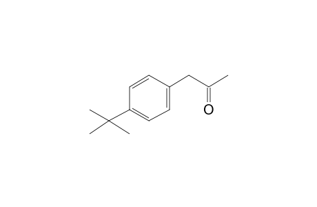 1-(4-Tert-butylphenyl)propan-2-one