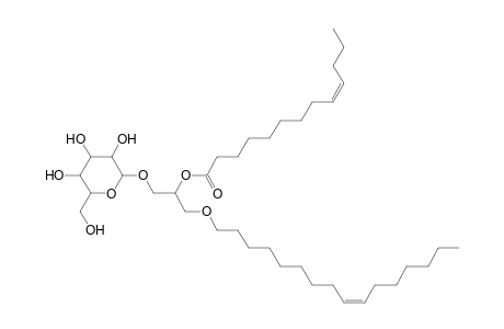 MGDG O-16:1_13:1