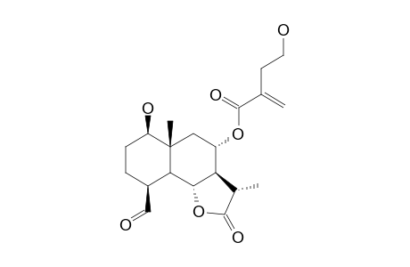 8-ALPHA-O-(4-HYDROXY-2-METHYLENEBUTANOYLOXY)-11-BETA,13-DIHYDRO-4-EPI-SONCHUCARPOLIDE