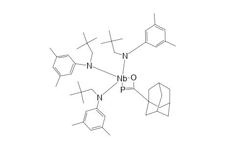 [1-AD-C(O)-P]-NB-[N-[NP]-AR]3