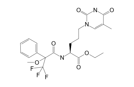 Ethyl (2S)-amino-5-(1-thyminyl)pentanoate (S)-mtpa amide