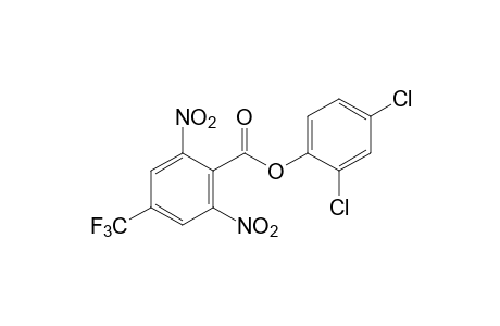 2,6-dinitro-alpha,alpha,alpha-trifluoro-p-cresol, 2,2-dichlorobenzoate