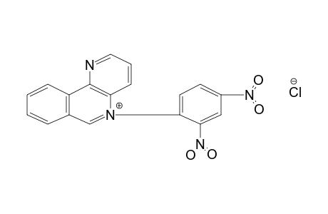5-(2,4-dinitrophenyl)benzo[c]-1,5-naphthyridinium chloride